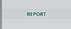 Report